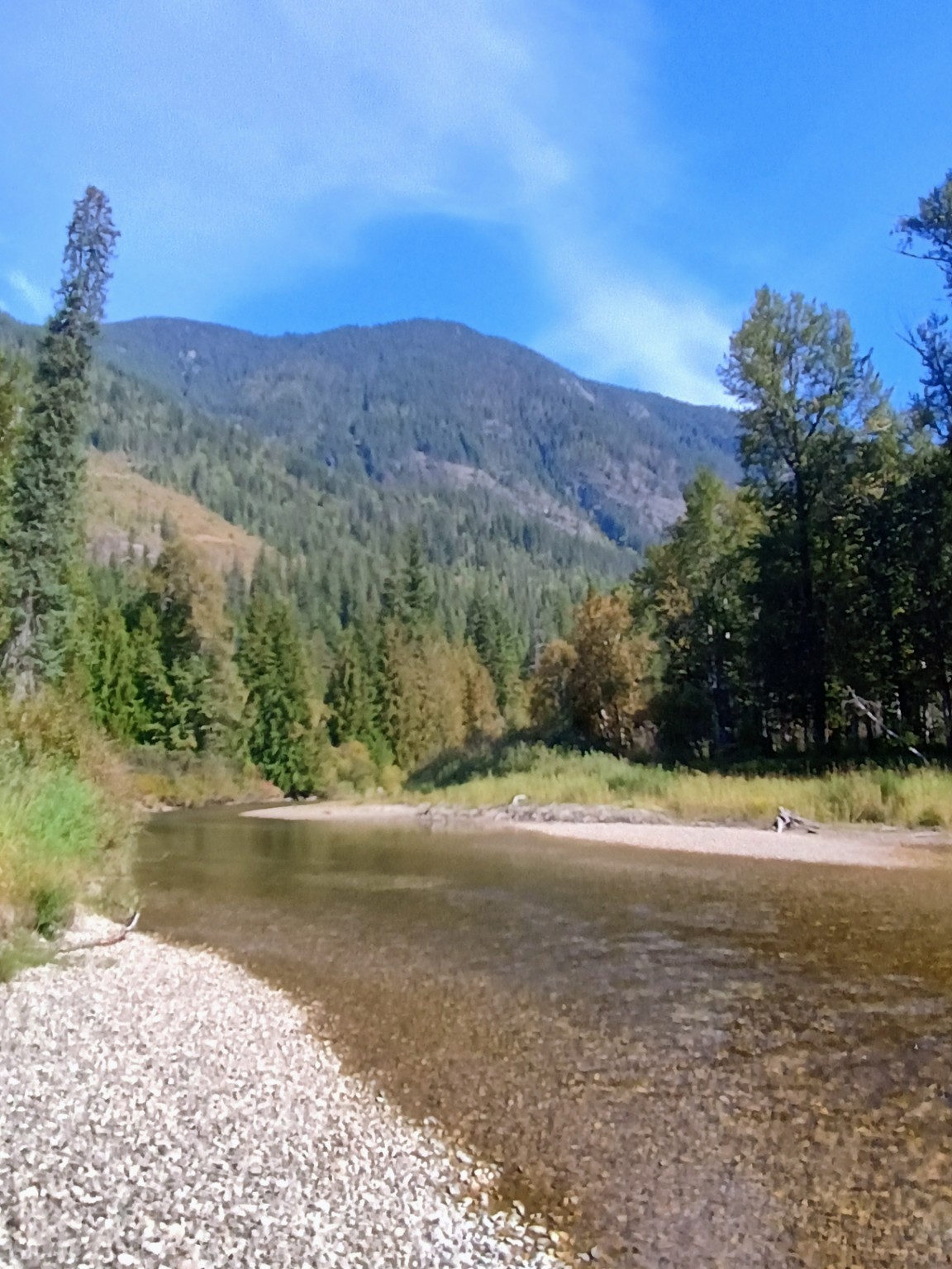 River beach and forested mountain views in Malakwa